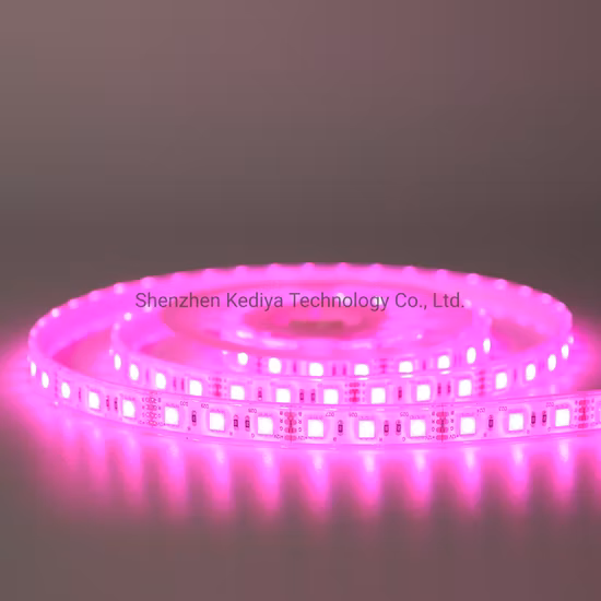 Wholesale Waterproof Bluetooth SMD 5050 RGB LED Strip Lights for Home Room Christmas Decoration 5m/10m/15m/20m