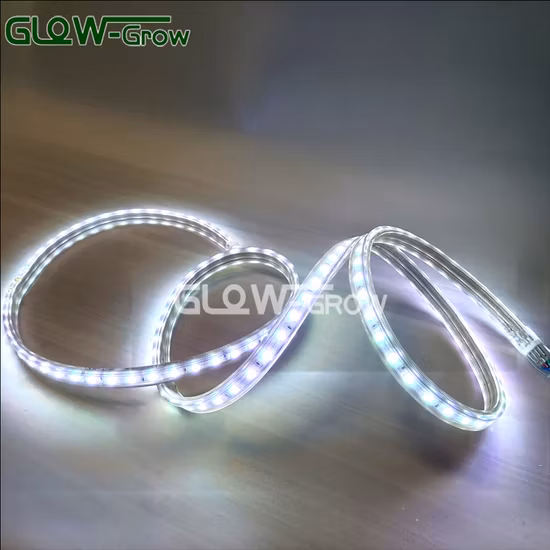 220 V Fabrik Hochspannung Outdoor Flexible 5050 SMD 100 m IP65 wasserdichte LED-Streifenleuchte mit Fernbedienung für Weihnachten, kommerzielle Veranstaltungen, Heimdekoration