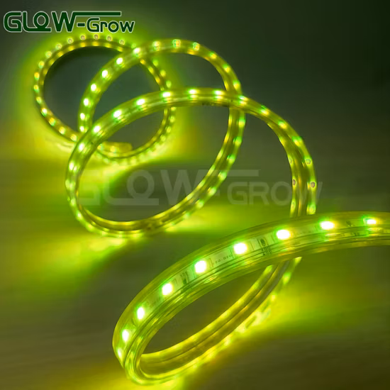 IP65 110 V 120 V 220 V 230 V AC LED-Streifen 5050 Hochspannung Dimmbar Flexibler wasserdichter RGB-Farb-LED-Lichtstreifen für gewerbliche Dekoration in kommerzieller Qualität